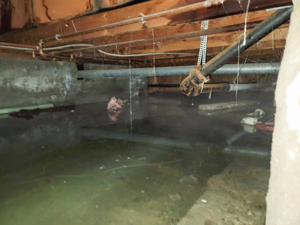 Best Water damage cleanup near me  in Gerber, CA