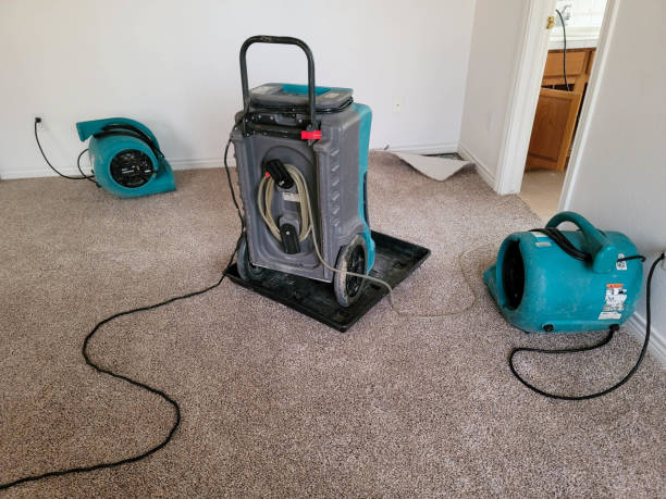 Best Flood restoration services  in Gerber, CA