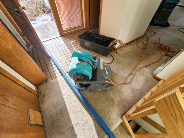 Best Carpet water damage restoration  in Gerber, CA