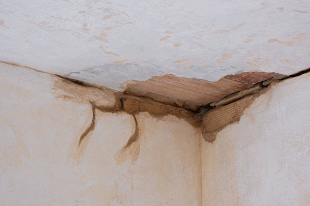 Best Water damage restoration near me  in Gerber, CA