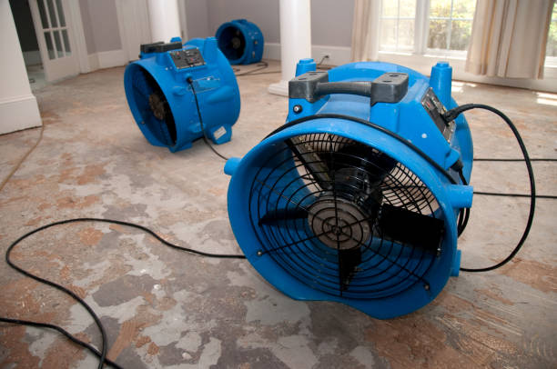 Best Mold removal after water damage  in Gerber, CA