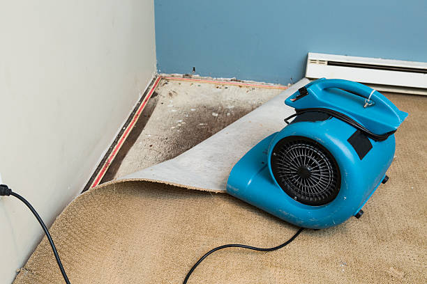 Best Professional water damage repair  in Gerber, CA